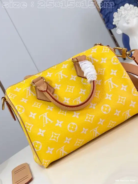 Aaa replica bags 25 Louis SPEEDY Vuitton 0529